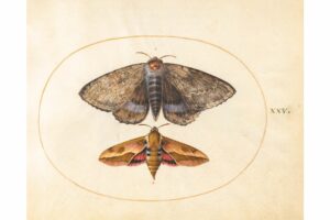 Free Vintage Halloween Printables by Lina June